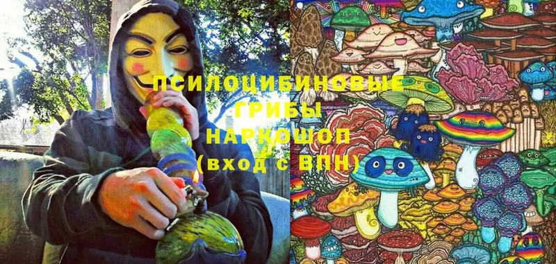 Псилоцибиновые грибы Cubensis  наркошоп  Купино 